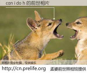 #孟婆前世照相馆# 【can i do h 的前世相片】我们都曾从奈何桥上走过，喝下三碗忘川之水烹煮的孟婆汤，忘却了前尘旧事。孟婆前世照相馆，保存着你前世的数码相片。can i do h 的前世相片，有图有真相：