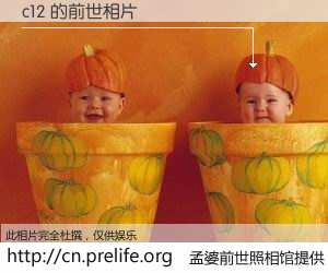 #孟婆前世照相馆# 【c12 的前世相片】我们都曾从奈何桥上走过，喝下三碗忘川之水烹煮的孟婆汤，忘却了前尘旧事。孟婆前世照相馆，保存着你前世的数码相片。c12 的前世相片，有图有真相：