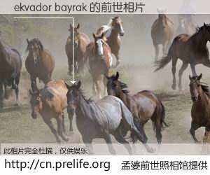 #孟婆前世照相馆# 【ekvador bayrak 的前世相片】我们都曾从奈何桥上走过，喝下三碗忘川之水烹煮的孟婆汤，忘却了前尘旧事。孟婆前世照相馆，保存着你前世的数码相片。ekvador bayrak 的前世相片，有图有真相：
