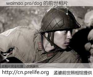 #孟婆前世照相馆# 【waimao.pro/dog 的前世相片】我们都曾从奈何桥上走过，喝下三碗忘川之水烹煮的孟婆汤，忘却了前尘旧事。孟婆前世照相馆，保存着你前世的数码相片。waimao.pro/dog 的前世相片，有图有真相：
