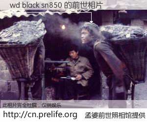 #孟婆前世照相馆# 【wd black sn850 的前世相片】我们都曾从奈何桥上走过，喝下三碗忘川之水烹煮的孟婆汤，忘却了前尘旧事。孟婆前世照相馆，保存着你前世的数码相片。wd black sn850 的前世相片，有图有真相：