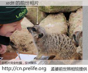 #孟婆前世照相馆# 【xrdtt 的前世相片】我们都曾从奈何桥上走过，喝下三碗忘川之水烹煮的孟婆汤，忘却了前尘旧事。孟婆前世照相馆，保存着你前世的数码相片。xrdtt 的前世相片，有图有真相：