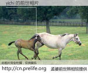 #孟婆前世照相馆# 【yichi 的前世相片】我们都曾从奈何桥上走过，喝下三碗忘川之水烹煮的孟婆汤，忘却了前尘旧事。孟婆前世照相馆，保存着你前世的数码相片。yichi 的前世相片，有图有真相：