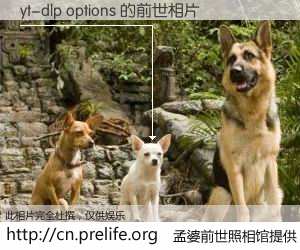 #孟婆前世照相馆# 【yt-dlp options 的前世相片】我们都曾从奈何桥上走过，喝下三碗忘川之水烹煮的孟婆汤，忘却了前尘旧事。孟婆前世照相馆，保存着你前世的数码相片。yt-dlp options 的前世相片，有图有真相：