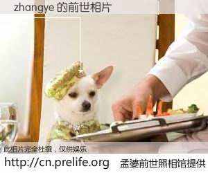 #孟婆前世照相馆# 【zhangye 的前世相片】我们都曾从奈何桥上走过，喝下三碗忘川之水烹煮的孟婆汤，忘却了前尘旧事。孟婆前世照相馆，保存着你前世的数码相片。zhangye 的前世相片，有图有真相：