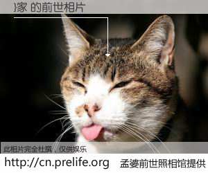 #孟婆前世照相馆# 【}家 的前世相片】我们都曾从奈何桥上走过，喝下三碗忘川之水烹煮的孟婆汤，忘却了前尘旧事。孟婆前世照相馆，保存着你前世的数码相片。}家 的前世相片，有图有真相：