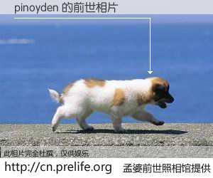 #孟婆前世照相馆# 【pinoyden 的前世相片】我们都曾从奈何桥上走过，喝下三碗忘川之水烹煮的孟婆汤，忘却了前尘旧事。孟婆前世照相馆，保存着你前世的数码相片。pinoyden 的前世相片，有图有真相：