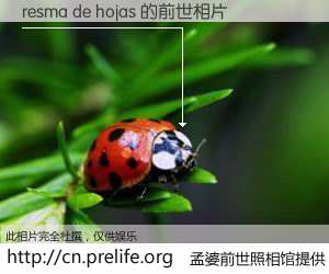 #孟婆前世照相馆# 【resma de hojas 的前世相片】我们都曾从奈何桥上走过，喝下三碗忘川之水烹煮的孟婆汤，忘却了前尘旧事。孟婆前世照相馆，保存着你前世的数码相片。resma de hojas 的前世相片，有图有真相：