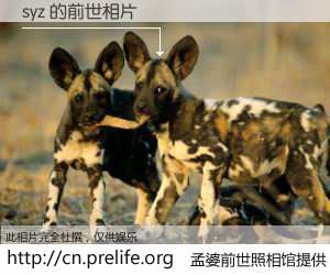 #孟婆前世照相馆# 【syz 的前世相片】我们都曾从奈何桥上走过，喝下三碗忘川之水烹煮的孟婆汤，忘却了前尘旧事。孟婆前世照相馆，保存着你前世的数码相片。syz 的前世相片，有图有真相：