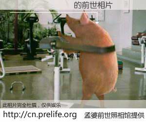 #孟婆前世照相馆# 【�������� 的前世相片】我们都曾从奈何桥上走过，喝下三碗忘川之水烹煮的孟婆汤，忘却了前尘旧事。孟婆前世照相馆，保存着你前世的数码相片。�������� 的前世相片，有图有真相：