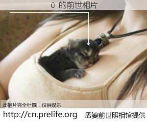 #孟婆前世照相馆# 【������ 的前世相片】我们都曾从奈何桥上走过，喝下三碗忘川之水烹煮的孟婆汤，忘却了前尘旧事。孟婆前世照相馆，保存着你前世的数码相片。������ 的前世相片，有图有真相：