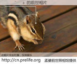 #孟婆前世照相馆# 【�׽��� 的前世相片】我们都曾从奈何桥上走过，喝下三碗忘川之水烹煮的孟婆汤，忘却了前尘旧事。孟婆前世照相馆，保存着你前世的数码相片。�׽��� 的前世相片，有图有真相：