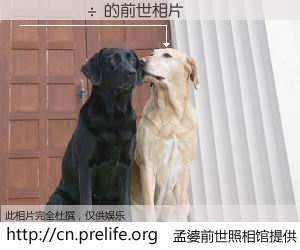 #孟婆前世照相馆# 【³���� 的前世相片】我们都曾从奈何桥上走过，喝下三碗忘川之水烹煮的孟婆汤，忘却了前尘旧事。孟婆前世照相馆，保存着你前世的数码相片。³���� 的前世相片，有图有真相：