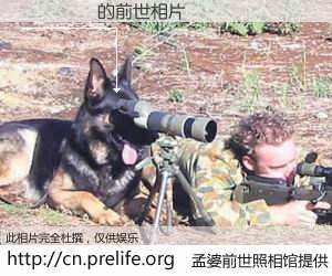 #孟婆前世照相馆# 【��� 的前世相片】我们都曾从奈何桥上走过，喝下三碗忘川之水烹煮的孟婆汤，忘却了前尘旧事。孟婆前世照相馆，保存着你前世的数码相片。��� 的前世相片，有图有真相：