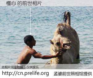 #孟婆前世照相馆# 【懂心 的前世相片】我们都曾从奈何桥上走过，喝下三碗忘川之水烹煮的孟婆汤，忘却了前尘旧事。孟婆前世照相馆，保存着你前世的数码相片。懂心 的前世相片，有图有真相：