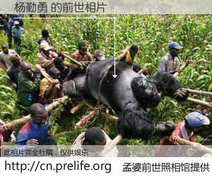 #孟婆前世照相馆# 【杨勤勇 的前世相片】我们都曾从奈何桥上走过，喝下三碗忘川之水烹煮的孟婆汤，忘却了前尘旧事。孟婆前世照相馆，保存着你前世的数码相片。杨勤勇 的前世相片，有图有真相：