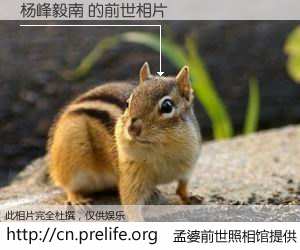#孟婆前世照相馆# 【杨峰毅南 的前世相片】我们都曾从奈何桥上走过，喝下三碗忘川之水烹煮的孟婆汤，忘却了前尘旧事。孟婆前世照相馆，保存着你前世的数码相片。杨峰毅南 的前世相片，有图有真相：