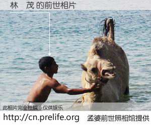 #孟婆前世照相馆# 【林長茂 的前世相片】我们都曾从奈何桥上走过，喝下三碗忘川之水烹煮的孟婆汤，忘却了前尘旧事。孟婆前世照相馆，保存着你前世的数码相片。林長茂 的前世相片，有图有真相：