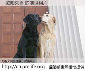#孟婆前世照相馆# 【欧阳菊香 的前世相片】我们都曾从奈何桥上走过，喝下三碗忘川之水烹煮的孟婆汤，忘却了前尘旧事。孟婆前世照相馆，保存着你前世的数码相片。欧阳菊香 的前世相片，有图有真相：