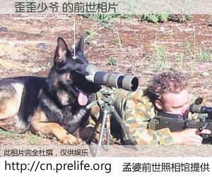 #孟婆前世照相馆# 【歪歪少爷 的前世相片】我们都曾从奈何桥上走过，喝下三碗忘川之水烹煮的孟婆汤，忘却了前尘旧事。孟婆前世照相馆，保存着你前世的数码相片。歪歪少爷 的前世相片，有图有真相：