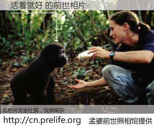 #孟婆前世照相馆# 【活着就好 的前世相片】我们都曾从奈何桥上走过，喝下三碗忘川之水烹煮的孟婆汤，忘却了前尘旧事。孟婆前世照相馆，保存着你前世的数码相片。活着就好 的前世相片，有图有真相：