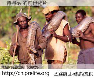 #孟婆前世照相馆# 【特撮av 的前世相片】我们都曾从奈何桥上走过，喝下三碗忘川之水烹煮的孟婆汤，忘却了前尘旧事。孟婆前世照相馆，保存着你前世的数码相片。特撮av 的前世相片，有图有真相：
