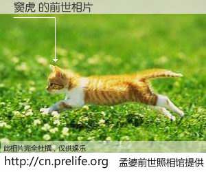 #孟婆前世照相馆# 【窦虎 的前世相片】我们都曾从奈何桥上走过，喝下三碗忘川之水烹煮的孟婆汤，忘却了前尘旧事。孟婆前世照相馆，保存着你前世的数码相片。窦虎 的前世相片，有图有真相：