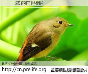 #孟婆前世照相馆# 【羅際威 的前世相片】我们都曾从奈何桥上走过，喝下三碗忘川之水烹煮的孟婆汤，忘却了前尘旧事。孟婆前世照相馆，保存着你前世的数码相片。羅際威 的前世相片，有图有真相：