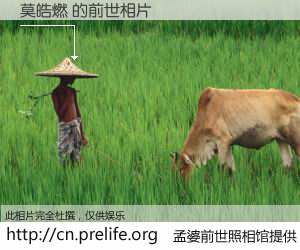 #孟婆前世照相馆# 【莫皓燃 的前世相片】我们都曾从奈何桥上走过，喝下三碗忘川之水烹煮的孟婆汤，忘却了前尘旧事。孟婆前世照相馆，保存着你前世的数码相片。莫皓燃 的前世相片，有图有真相：