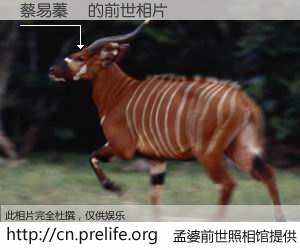 #孟婆前世照相馆# 【蔡易蓁鞥 的前世相片】我们都曾从奈何桥上走过，喝下三碗忘川之水烹煮的孟婆汤，忘却了前尘旧事。孟婆前世照相馆，保存着你前世的数码相片。蔡易蓁鞥 的前世相片，有图有真相：