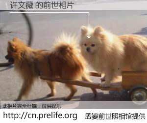 #孟婆前世照相馆# 【许文薇 的前世相片】我们都曾从奈何桥上走过，喝下三碗忘川之水烹煮的孟婆汤，忘却了前尘旧事。孟婆前世照相馆，保存着你前世的数码相片。许文薇 的前世相片，有图有真相：