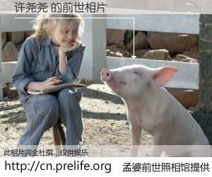 #孟婆前世照相馆# 【许尧尧 的前世相片】我们都曾从奈何桥上走过，喝下三碗忘川之水烹煮的孟婆汤，忘却了前尘旧事。孟婆前世照相馆，保存着你前世的数码相片。许尧尧 的前世相片，有图有真相：