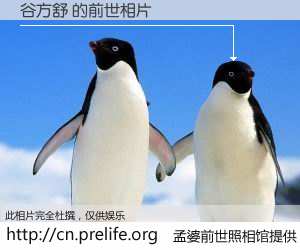 #孟婆前世照相馆# 【谷方舒 的前世相片】我们都曾从奈何桥上走过，喝下三碗忘川之水烹煮的孟婆汤，忘却了前尘旧事。孟婆前世照相馆，保存着你前世的数码相片。谷方舒 的前世相片，有图有真相：