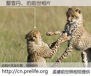 #孟婆前世照相馆# 【鄢雪丹、 的前世相片】我们都曾从奈何桥上走过，喝下三碗忘川之水烹煮的孟婆汤，忘却了前尘旧事。孟婆前世照相馆，保存着你前世的数码相片。鄢雪丹、 的前世相片，有图有真相：