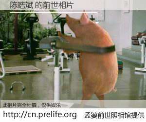 #孟婆前世照相馆# 【陈皓斌 的前世相片】我们都曾从奈何桥上走过，喝下三碗忘川之水烹煮的孟婆汤，忘却了前尘旧事。孟婆前世照相馆，保存着你前世的数码相片。陈皓斌 的前世相片，有图有真相：