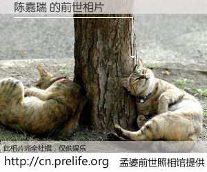 #孟婆前世照相馆# 【陈嘉瑞 的前世相片】我们都曾从奈何桥上走过，喝下三碗忘川之水烹煮的孟婆汤，忘却了前尘旧事。孟婆前世照相馆，保存着你前世的数码相片。陈嘉瑞 的前世相片，有图有真相：