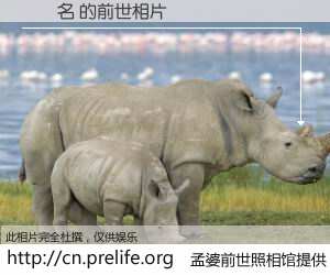 #孟婆前世照相馆# 【陳揚名 的前世相片】我们都曾从奈何桥上走过，喝下三碗忘川之水烹煮的孟婆汤，忘却了前尘旧事。孟婆前世照相馆，保存着你前世的数码相片。陳揚名 的前世相片，有图有真相：