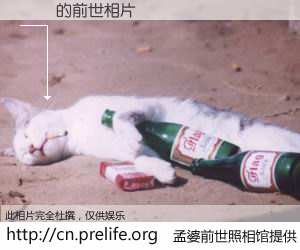 #孟婆前世照相馆# 【陳領 的前世相片】我们都曾从奈何桥上走过，喝下三碗忘川之水烹煮的孟婆汤，忘却了前尘旧事。孟婆前世照相馆，保存着你前世的数码相片。陳領 的前世相片，有图有真相：