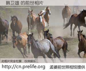 #孟婆前世照相馆# 【韩卫雄 的前世相片】我们都曾从奈何桥上走过，喝下三碗忘川之水烹煮的孟婆汤，忘却了前尘旧事。孟婆前世照相馆，保存着你前世的数码相片。韩卫雄 的前世相片，有图有真相：