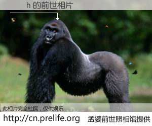 #孟婆前世照相馆# 【�ثh 的前世相片】我们都曾从奈何桥上走过，喝下三碗忘川之水烹煮的孟婆汤，忘却了前尘旧事。孟婆前世照相馆，保存着你前世的数码相片。�ثh 的前世相片，有图有真相：