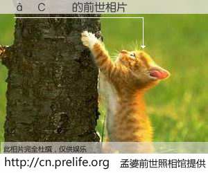 #孟婆前世照相馆# 【��С�� 的前世相片】我们都曾从奈何桥上走过，喝下三碗忘川之水烹煮的孟婆汤，忘却了前尘旧事。孟婆前世照相馆，保存着你前世的数码相片。��С�� 的前世相片，有图有真相：