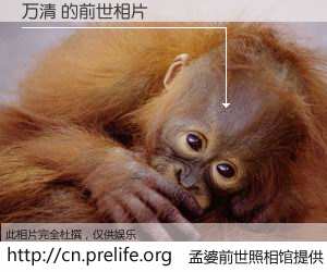 #孟婆前世照相馆# 【万清 的前世相片】我们都曾从奈何桥上走过，喝下三碗忘川之水烹煮的孟婆汤，忘却了前尘旧事。孟婆前世照相馆，保存着你前世的数码相片。万清 的前世相片，有图有真相：