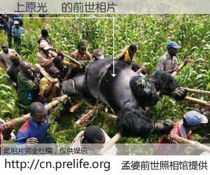 #孟婆前世照相馆# 【上原光紀 的前世相片】我们都曾从奈何桥上走过，喝下三碗忘川之水烹煮的孟婆汤，忘却了前尘旧事。孟婆前世照相馆，保存着你前世的数码相片。上原光紀 的前世相片，有图有真相：