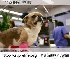 #孟婆前世照相馆# 【严欣 的前世相片】我们都曾从奈何桥上走过，喝下三碗忘川之水烹煮的孟婆汤，忘却了前尘旧事。孟婆前世照相馆，保存着你前世的数码相片。严欣 的前世相片，有图有真相：