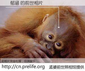#孟婆前世照相馆# 【劉郁涵 的前世相片】我们都曾从奈何桥上走过，喝下三碗忘川之水烹煮的孟婆汤，忘却了前尘旧事。孟婆前世照相馆，保存着你前世的数码相片。劉郁涵 的前世相片，有图有真相：