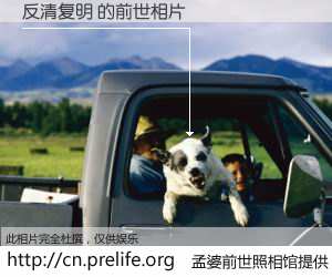 #孟婆前世照相馆# 【反清复明 的前世相片】我们都曾从奈何桥上走过，喝下三碗忘川之水烹煮的孟婆汤，忘却了前尘旧事。孟婆前世照相馆，保存着你前世的数码相片。反清复明 的前世相片，有图有真相：