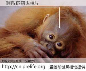 #孟婆前世照相馆# 【啊呜 的前世相片】我们都曾从奈何桥上走过，喝下三碗忘川之水烹煮的孟婆汤，忘却了前尘旧事。孟婆前世照相馆，保存着你前世的数码相片。啊呜 的前世相片，有图有真相：