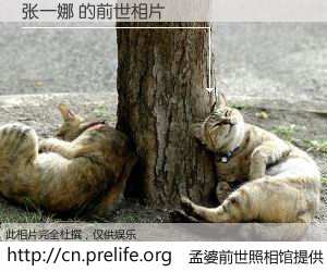 #孟婆前世照相馆# 【张一娜 的前世相片】我们都曾从奈何桥上走过，喝下三碗忘川之水烹煮的孟婆汤，忘却了前尘旧事。孟婆前世照相馆，保存着你前世的数码相片。张一娜 的前世相片，有图有真相：