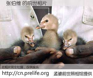 #孟婆前世照相馆# 【张伯维 的前世相片】我们都曾从奈何桥上走过，喝下三碗忘川之水烹煮的孟婆汤，忘却了前尘旧事。孟婆前世照相馆，保存着你前世的数码相片。张伯维 的前世相片，有图有真相：