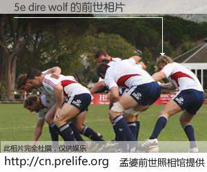 #孟婆前世照相馆# 【5e dire wolf 的前世相片】我们都曾从奈何桥上走过，喝下三碗忘川之水烹煮的孟婆汤，忘却了前尘旧事。孟婆前世照相馆，保存着你前世的数码相片。5e dire wolf 的前世相片，有图有真相：